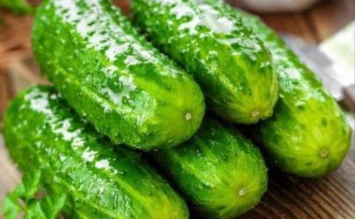 国产小黄瓜福利视频